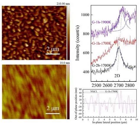 Surface Evolution of Nano-Textured 4H–SiC Homoepitaxial Layers after ...