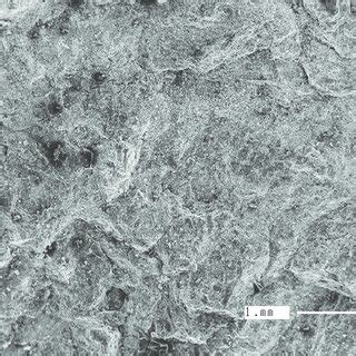 Image result for Dynamic Compaction Shock Wave