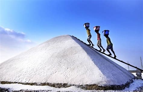 Ecologically Crucial Salt Pans, That Safeguard Mumbai Against Floods ...