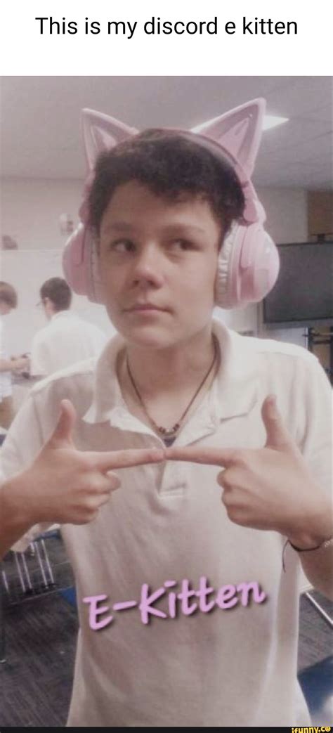 This is my discord e kitten - iFunny Brazil
