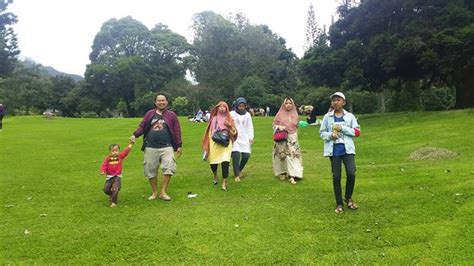 Cibodas Botanical Garden (Cianjur) - 2021 What to Know Before You Go ...