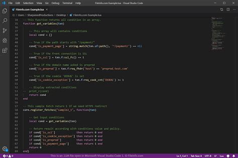 Create Lua File 的图像结果