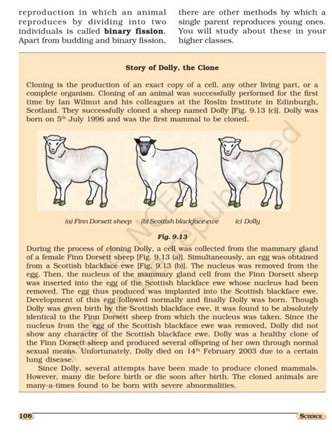 Image result for Class 8 Science Reproduction