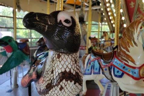 Discount Code For Mesker Park Zoo at Andrea Delreal blog