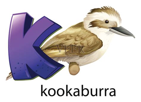 字母K代表笑翠鸟插画图片素材_ID:164587656-Veer图库