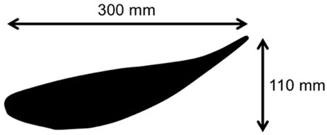 CFD Analysis of the Location of a Rear Wing on an Aston Martin DB7 in ...