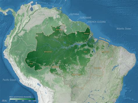 ESA - Above ground biomass in the Amazon basin