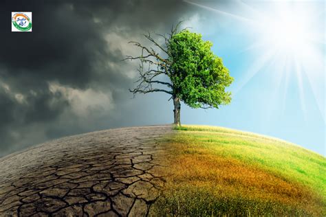 Impact of Climate Change on India and the World