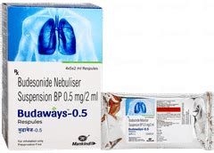 Budaways 05 Mg Respule 2 Ml Pack Of 5 - Uses, Side Effects, Dosage ...