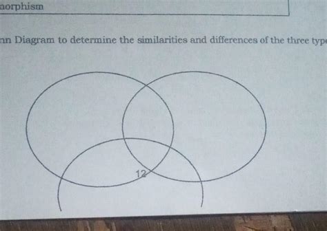 fill in the venn diagram to determine the similarities and differences ...