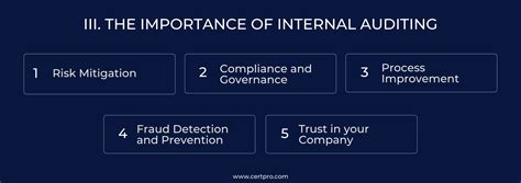Internal Audit Process Steps 的图像结果