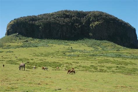 Debre Markos Tourism (2024): All You Need to Know Before You Go