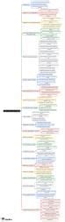 Mind Map: Theory Base of Accounting - Accountancy Class 11 - Commerce ...