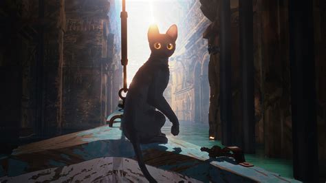 Image result for Flow Films