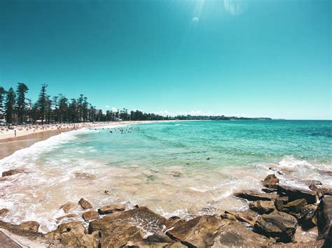 Accessible Beaches at Home and Afar