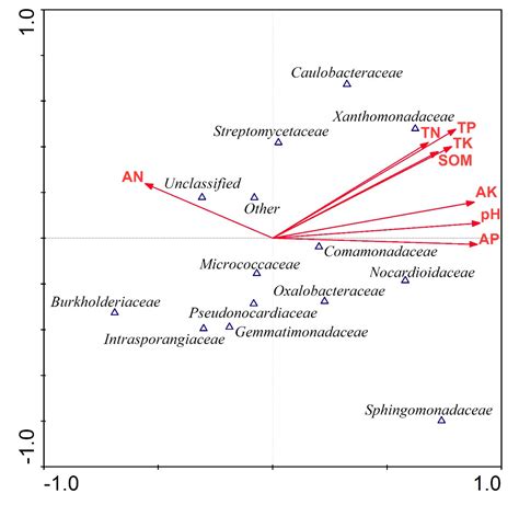 Response of Bacterial Community Structure to Different Biochar Addition ...