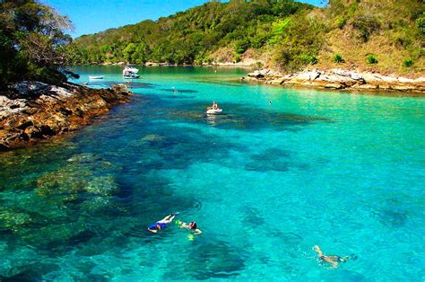 Veleros en Angra dos Reis