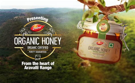 Dabur Raw Organic Honey - 600g (Clip Jar) | 100% Pure | Raw, Unfiltered ...