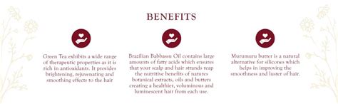Buy SOILSCENTS - GREEN TEA AND BRAZILIAN BABASSU OIL CONDITIONER FOR ...