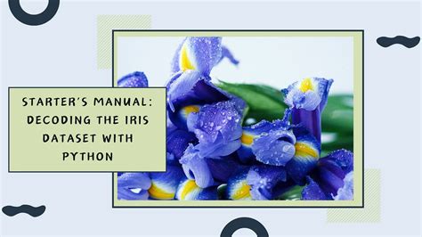 Image result for Load Iris Dataset Python