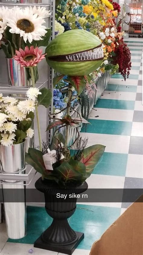 Say it | Say Sike Right Now | Know Your Meme