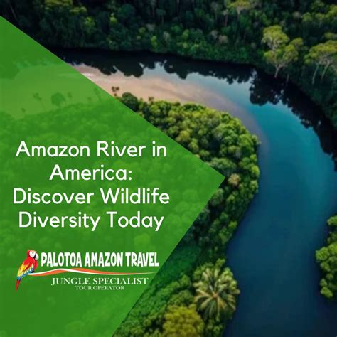 Experience the Amazon River’s Unique Wildlife Diversity Today