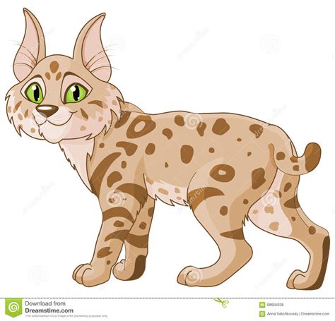 bobcat clipart images 20 free Cliparts | Download images on Clipground 2024