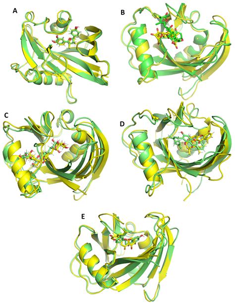 Structure-Based Identification of Natural MTH1 Inhibitors for Breast ...