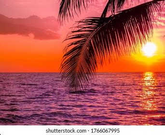Image result for Sunset Climb O2