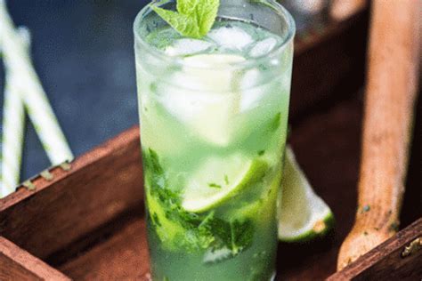Virgin Mojito Recipe: How to make Virgin Mojito at Home | Home made ...