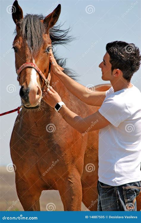 Young man and horse stock image. Image of holding, countryside - 14887505