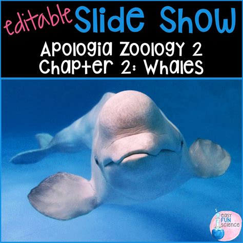Image result for Dolphin Partner Optimization Algorithm