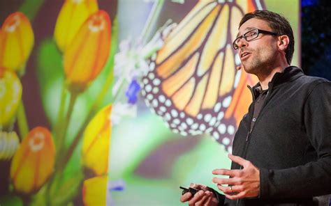 【TED演讲】蝴蝶如何自我治疗（中英字幕） - 哔哩哔哩