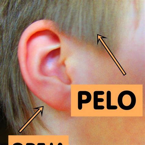 spanish-vocab-face-hair-ear - Happy Hour Spanish