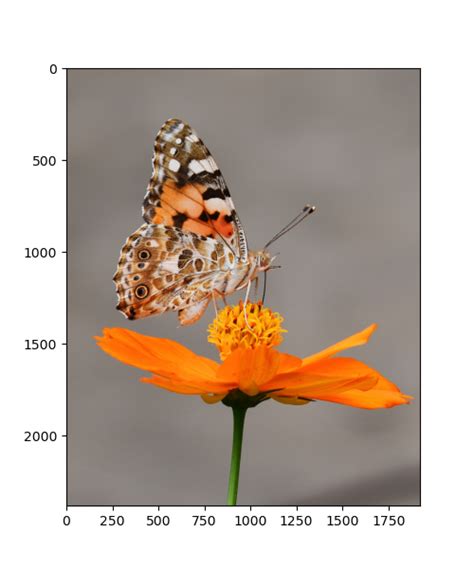 Image result for Kernel Convolution Application