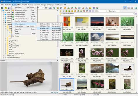 Install FastStone Image Viewer 的图像结果