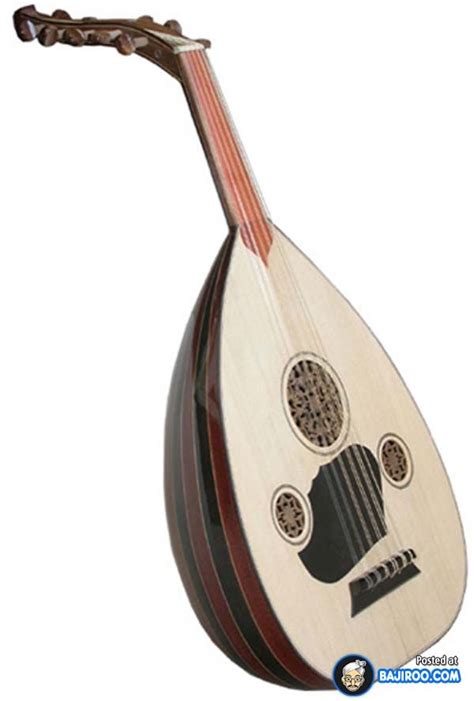 Image result for Weird Stringed Instruments