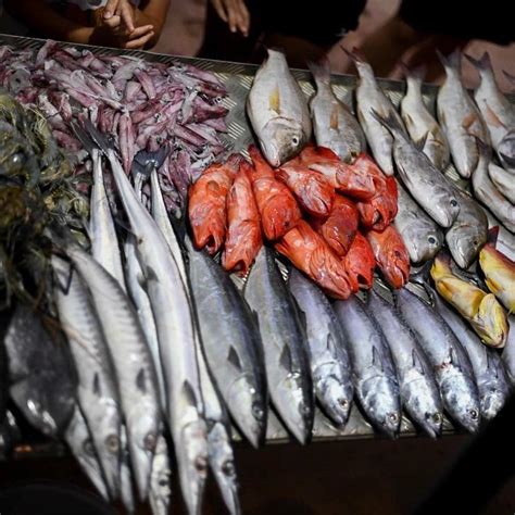 MIRISSA BEACH WADIYA HOTEL - Lodge Reviews, Photos, Rate Comparison ...