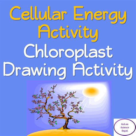 Cellular Energy- Chloroplast Drawing Activity | Made By Teachers