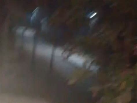 Gir-Gadhada Una Lions Roar Harmadiya Village; 4 Lions Stroll Sankhada ...