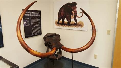 Nome Pictures - Traveller Photos of Nome, AK - Tripadvisor