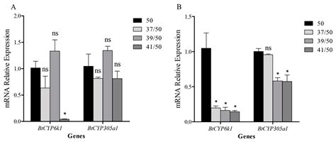 Effect of High Temperature on Abamectin and Thiamethoxam Tolerance in ...