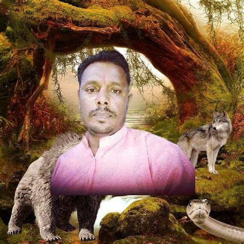 SOCCERARENA (2026) All You Need to Know BEFORE You Go (with Photos ...