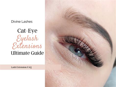 Cat-Eye Eyelash Extensions – The Ultimate Guide