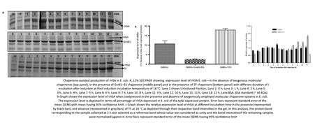 Tapan K. Chaudhuri, IIT Delhi