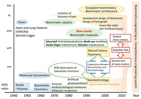Application of Biomimetics to Architectural and Urban Design: A Review ...