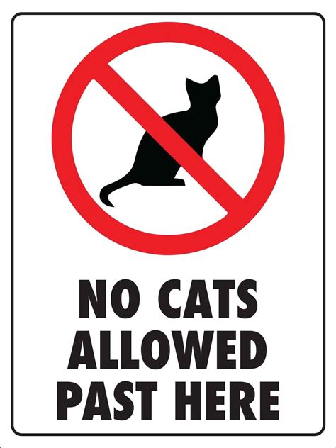 No Cats Allowed Past Here Sign Metal Tin Sign 8x12 Inches Caution Danger Safety Security Warning ...