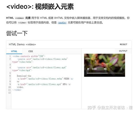 HTML5 Basic Videos 的图像结果