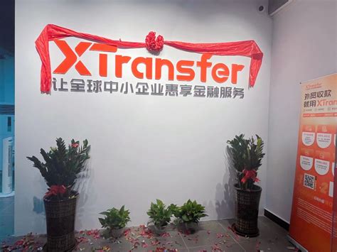 XTransfer东莞茶山服务中心开业，为本地外贸发展助力 XTransfer官网
