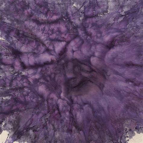 Donald Feasél | Meer